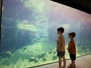 Kids watching Penguins